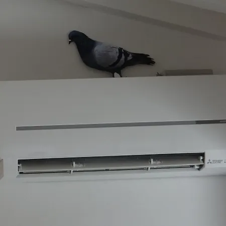 Matteotti Lejlighed *