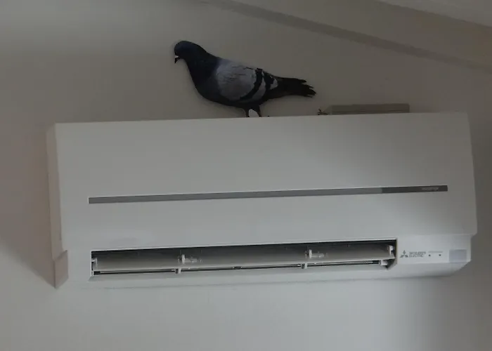 Matteotti Apartament *
